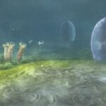 Los primeros animales de la Tierra surgieron 200 millones de años antes de lo que creíamos